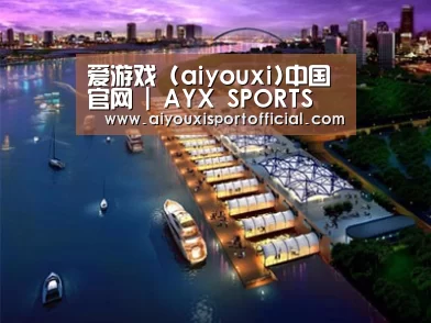 案例展示八